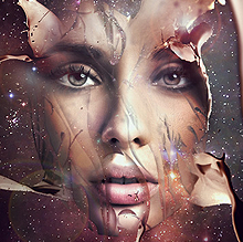 安卓ddos攻击工具